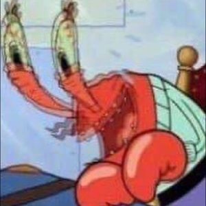 Meet your Posher, Hector